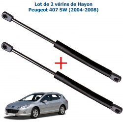 Lot de 2 vérins de coffre hayon pour Peugeot 307 SW Break 2002 à 2008